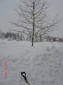 DSC04123