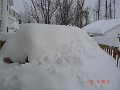 DSC04131