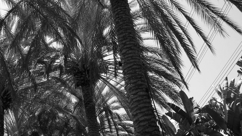 100_0534.JPG