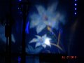 DSC04371
