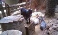 IMAG0084