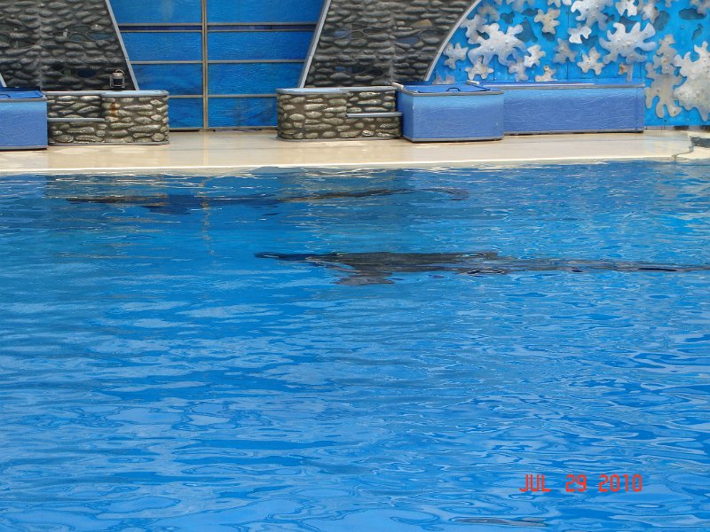 DSC04516.JPG