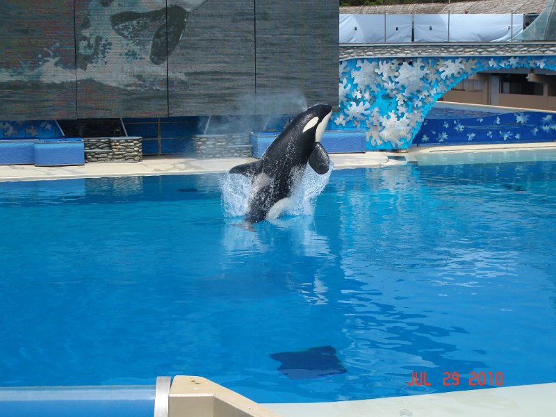 DSC04524.JPG