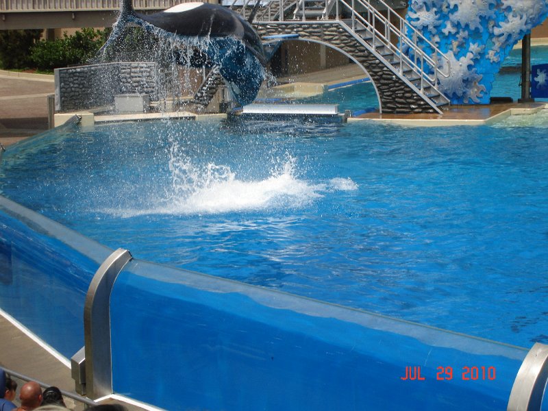 DSC04606.JPG
