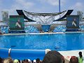DSC04522
