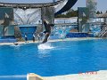 DSC04549