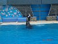 DSC04561