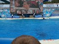 DSC04611