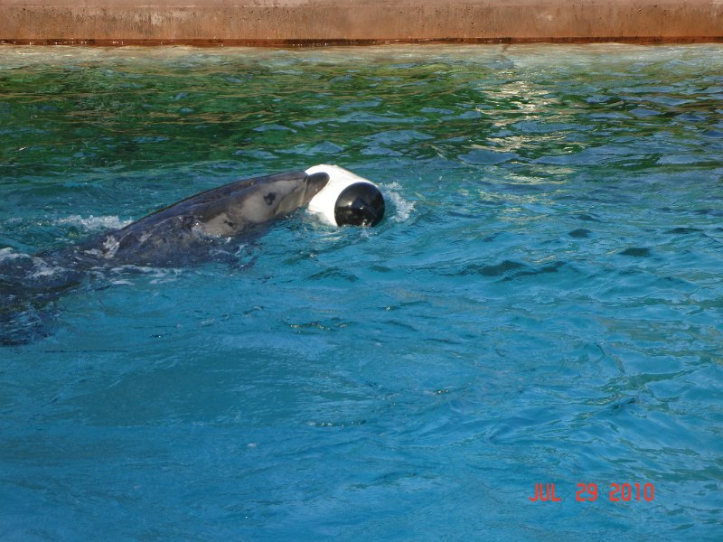 DSC04692.JPG