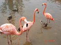 DSC04487