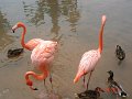 DSC04488