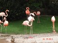 DSC04493