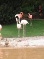 DSC04494