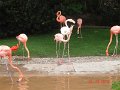 DSC04495