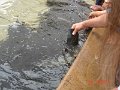 DSC04501