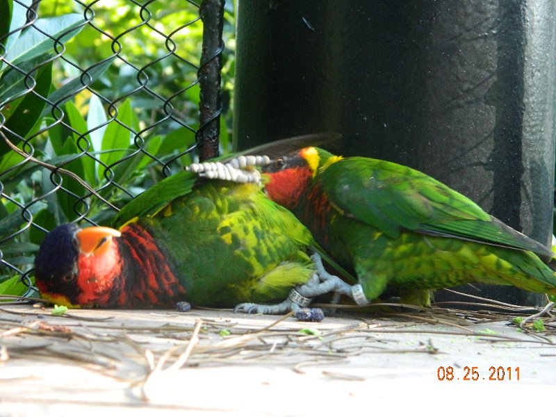 DSCN0777.JPG