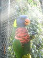 DSCN0765