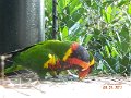 DSCN0772