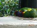 DSCN0775