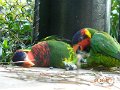 DSCN0776