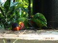 DSCN0778