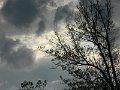 DSCN0128
