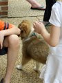 DSCN0152