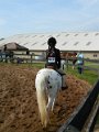 DSCN0198