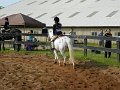 DSCN0201