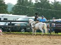 DSCN0203