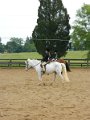 DSCN0239