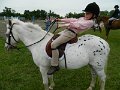 DSCN0338