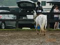 DSCN0407