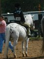 DSCN0741