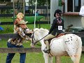 DSCN0947