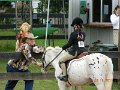 DSCN0949