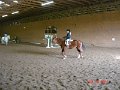 DSC05104