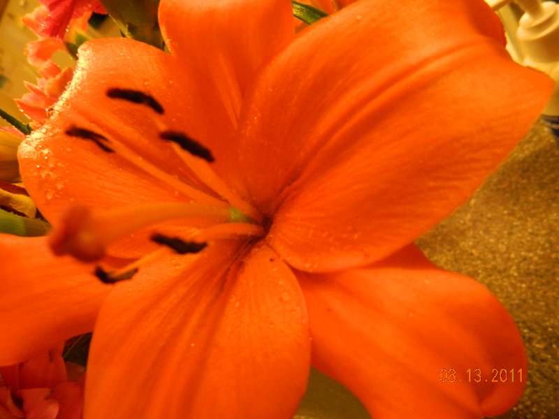 DSCN0665.JPG