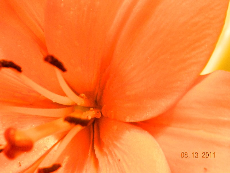DSCN0668.JPG