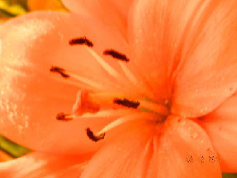 DSCN0669.JPG