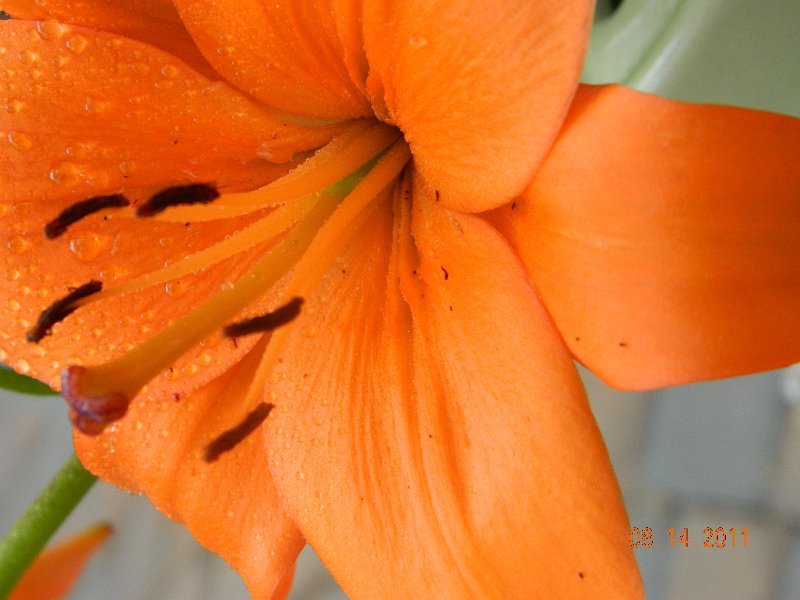 DSCN0677.JPG