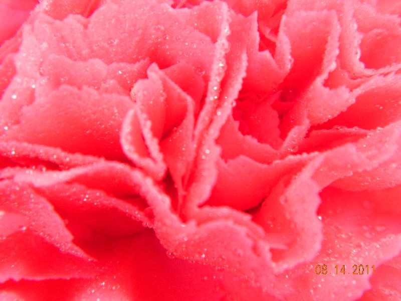 DSCN0683.JPG