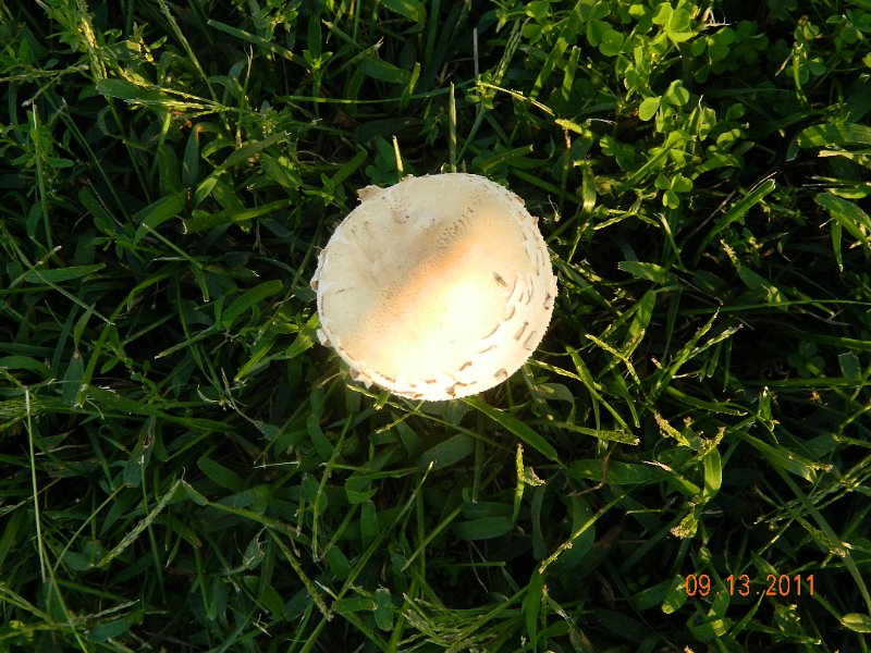 DSCN0867.JPG