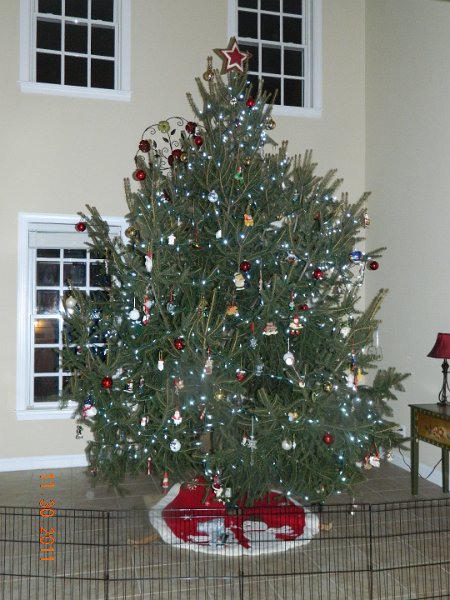 DSCN1476.JPG - 