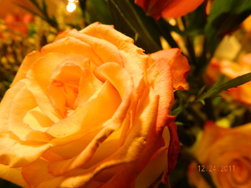 DSCN1635.JPG