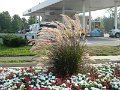 DSCN0647