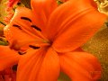 DSCN0665