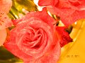 DSCN0670