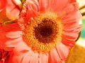 DSCN0671