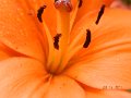 DSCN0678